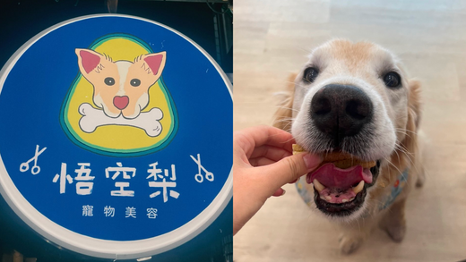 【商業用戶專訪】加熱 5 分鐘熱水超有感,寵物美容店首選電熱水器